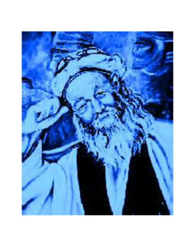 بعضیها فکر می کنند که «ابو سعید ابوالخیر» این شکلی بوده است! از کجا می دانند؟ لابد از آنجایی که هیچکس نمی داند!