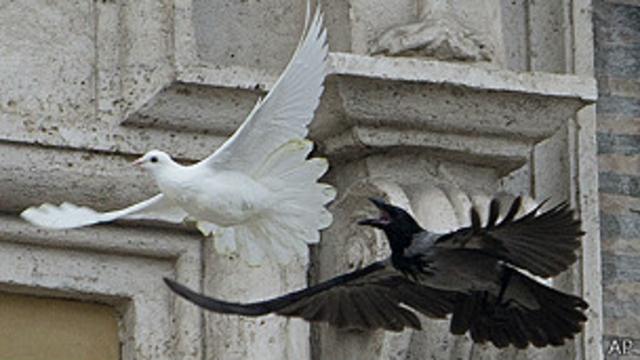 Ataque a palomas de la paz