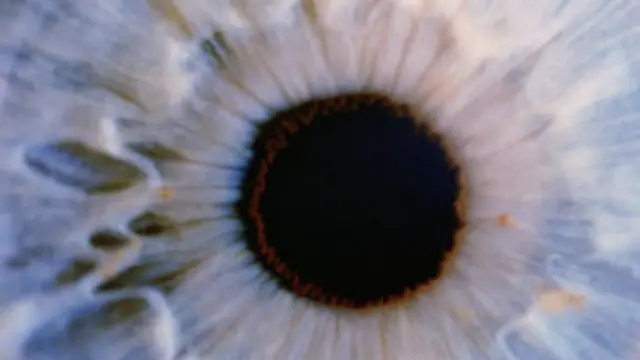 آنکھ کے اندر روشنی کے لیے حساس راڈ اور کون موجود ہوتے ہیں جو روشنی کو الیکٹرانک سگنل میں منتقل کر کے دماغ کو ارسال کر دیتے ہیں