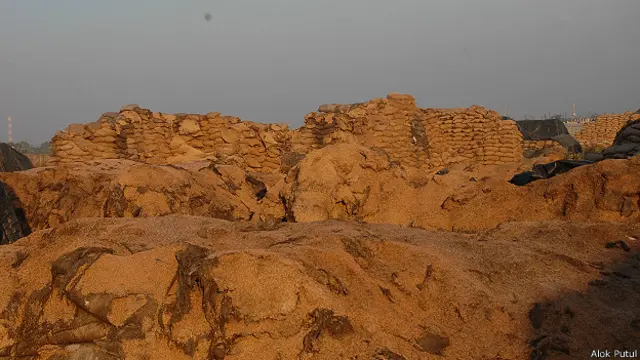 छत्तीसगढ़ धान की बर्बादी