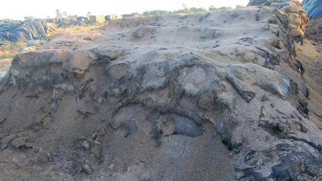 छत्तीसगढ़ धान की बर्बादी