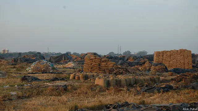 छत्तीसगढ़ धान की बर्बादी