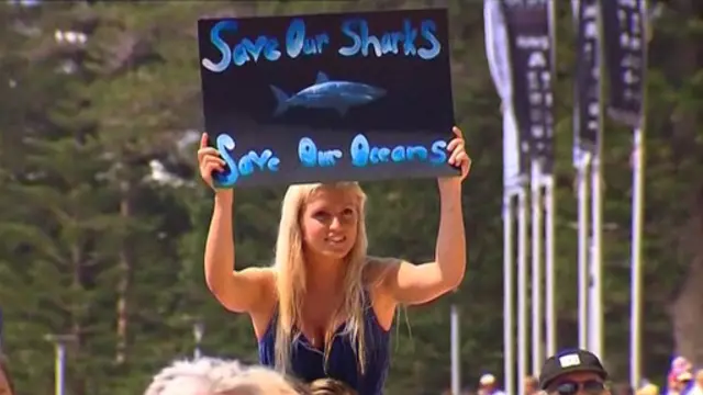 Protesto contra abate de tubarão (BBC)