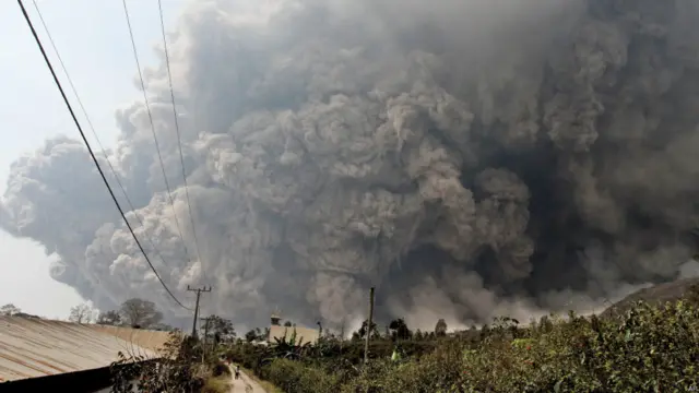 سٹوپوٹو پورو نوگورہو کے ہنگامی امداد کے شعبے کے حکام کا کہا ہے کہ سیر پر گئے بچوں کے گروہ میں شامل کچھ بچے بھی ہلاک ہونے والوں میں شامل ہیں۔