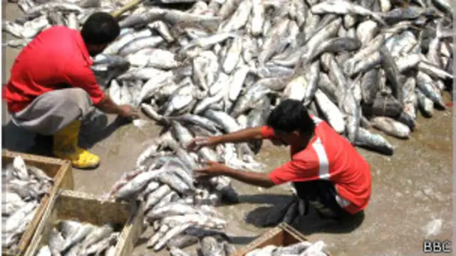 مقامی بزرگوں کے مطابق دریائے سندھ میں ہرسال میٹھا پانی کم ہو رہا ہے جس کے باعث گذشتہ پندرہ سال کے دوران تقریباً دو سے ڈھائی سو میٹر تک زمین سمندر میں ڈوب چکی ہے