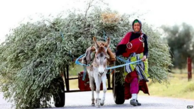 بسیاری از زنان در تونس همچنان در فقر زندگی می کنند
