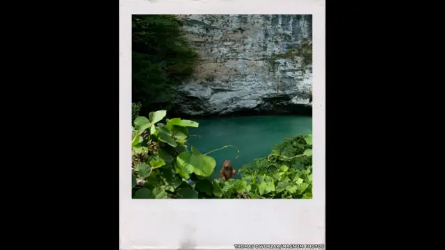 सोची, रूस, शीत ओलंपिक