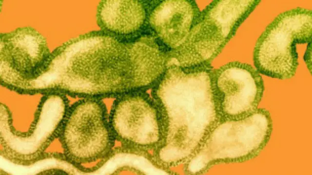 حذر العلماء من إحتمال انتشار هذا الفيروس الجديد وتحوله إلى "وباء"