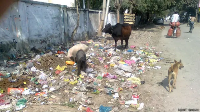 कानपुर में कूड़े का ढ़ेर