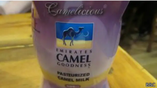 ऊंटनी का दूध