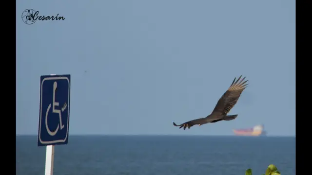 Foto de un lector de BBC Mundo por el tema "Libertad"