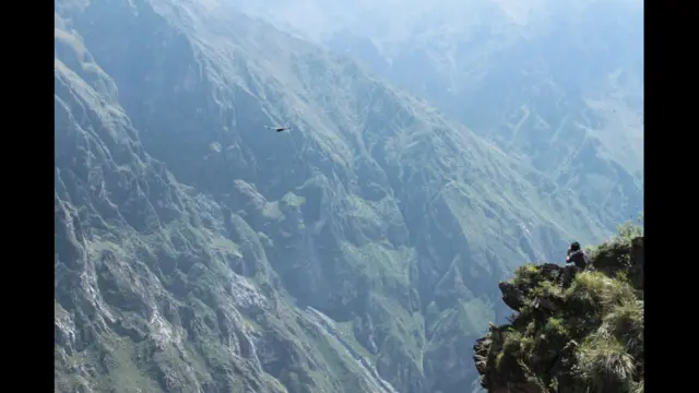 Foto de un lector de BBC Mundo por el tema "Libertad"
