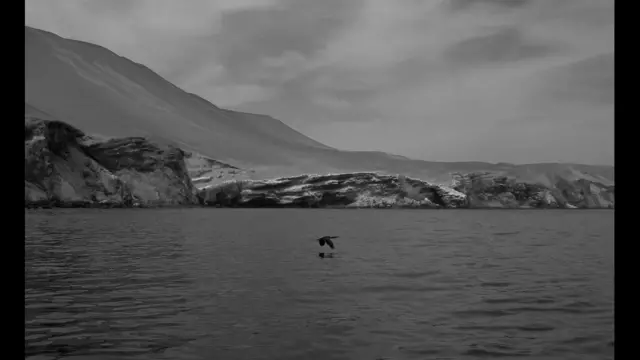 Foto de un lector de BBC Mundo por el tema "Libertad"