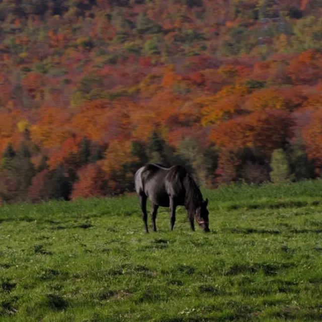 Foto de un lector de BBC Mundo por el tema "Libertad"
