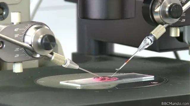 Laboratorio transgénico.