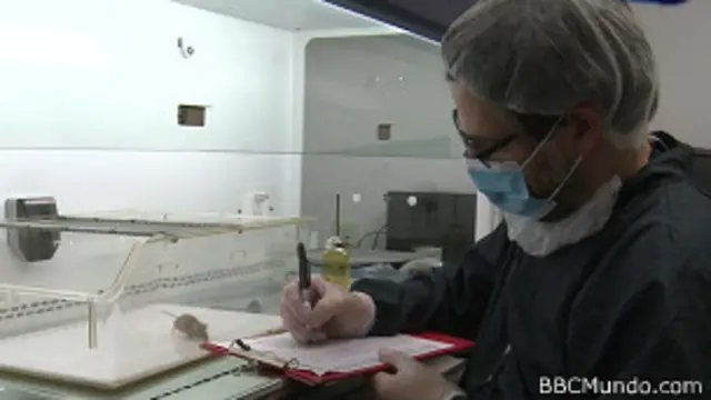 Abraham Acevedo, investigador de Mary Lyon Centre