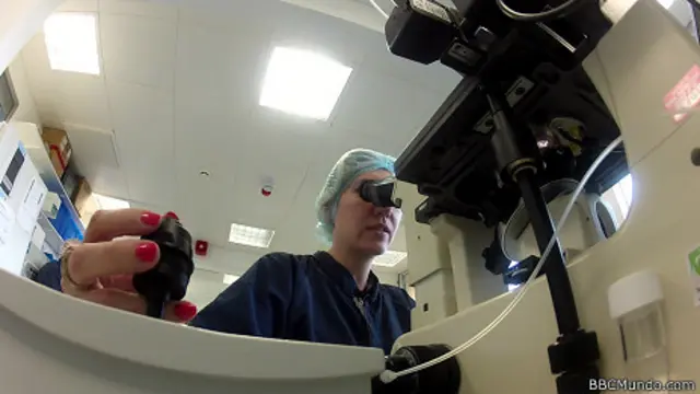 Técnico del laboratorio Mary Lyon Centre en Inglaterra