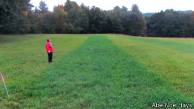 Prueba de uso de orina como fertilizante