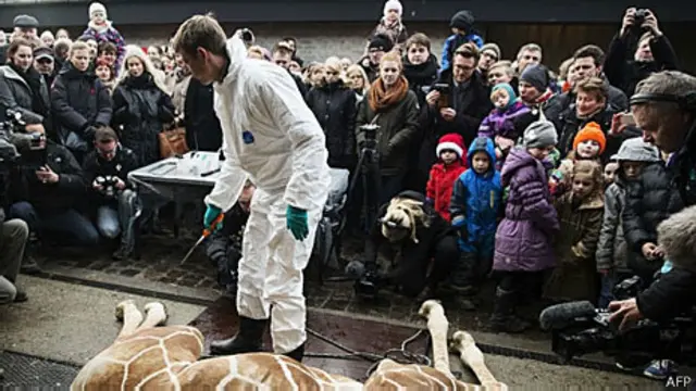 Crianças e visitantes assistem o corte da carcaça da girafa (AFP/Getty)