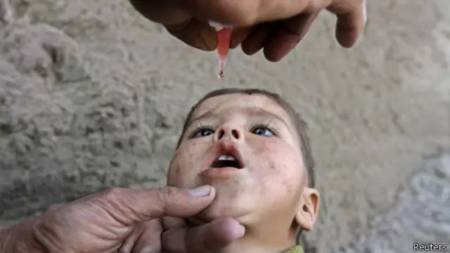 تېر کال افغانستان کې د ګوزڼ ۱۴ پېښې وې، چې دا شمېره په ۲۰۱۲ کال کې ۳۷ او په ۲۰۱۱ کال ۸۰ ته رسېدلې وه.