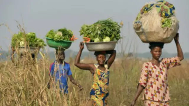 تعد جمهورية افريقيا الوسطى من أفقر البلدان في القارة الإفريقية
