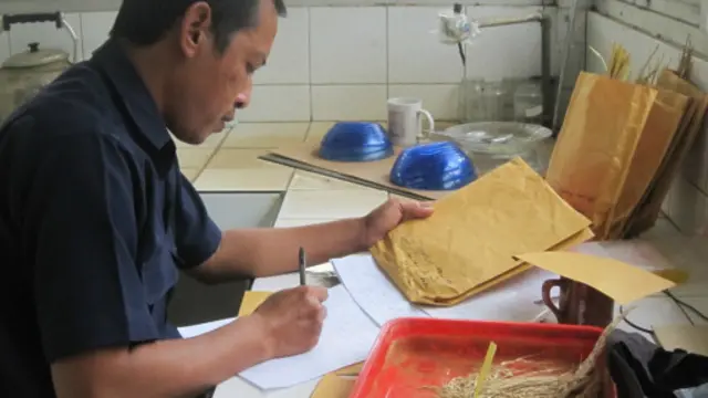 Padi iradiasi nuklir