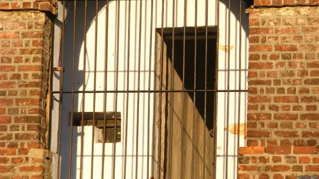 सेल्युलर जेल