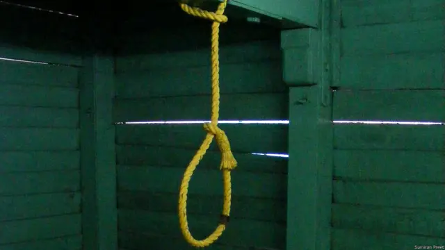 सेल्युलर जेल