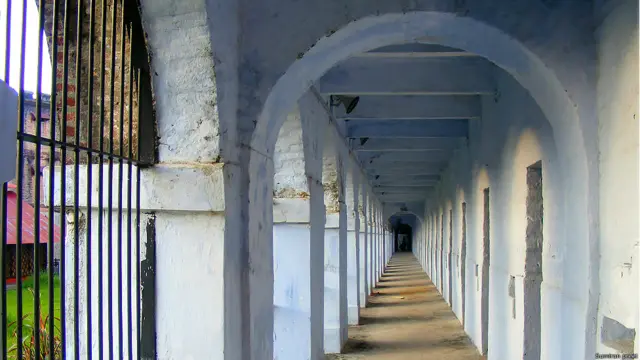 सेल्युलर जेल