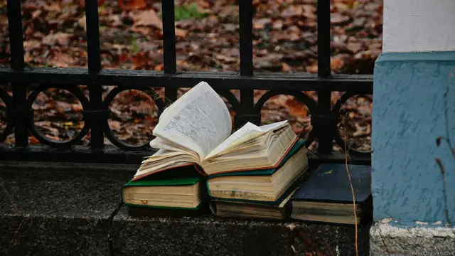 Фото: Александра Викторова