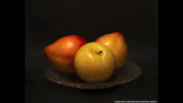 کرسٹین بلاچین ڈاس سیٹوس نے تین آلو بخاروں کی تصویر بنائی جس نے ’نباتات سے بھرپور زمین‘ نام کے شعبے میں تیسرا انعام حاصل کیا۔