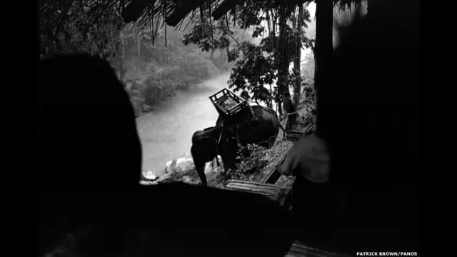 हाथी, थाई बर्मा सीमा