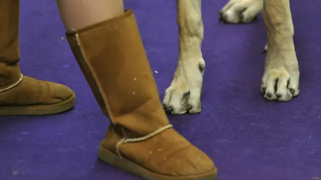 न्यूयॉर्क डॉग शो