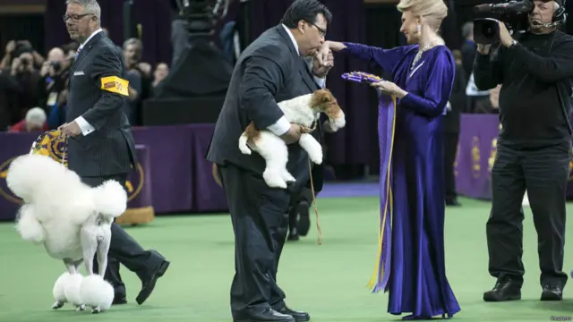 न्यूयॉर्क डॉग शो