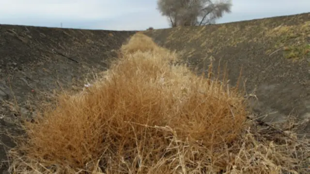Sequía en el valle central de California