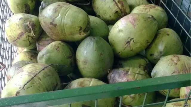Coco sendo vendido em São Paulo