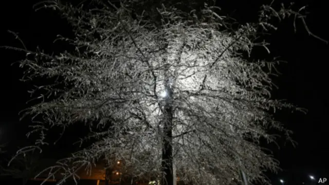 喬治亞州一棵枝椏結冰的樹(2014年2月12日)