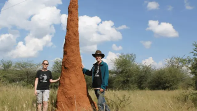 استطاعت جماعات النمل الأبيض بناء كومة بارتفاع مترين ونصف لتعمل كمتنفس لأعشاشها تحت الأرض