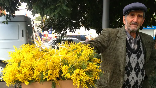 Cочі. Тепло. Зимова Олімпіада