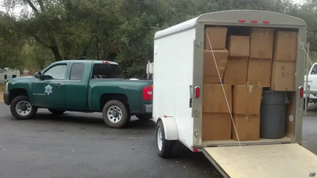 旧金山执法人员在合和公司收缴的鱼翅(加州渔猎局提供图片27/1/2014)