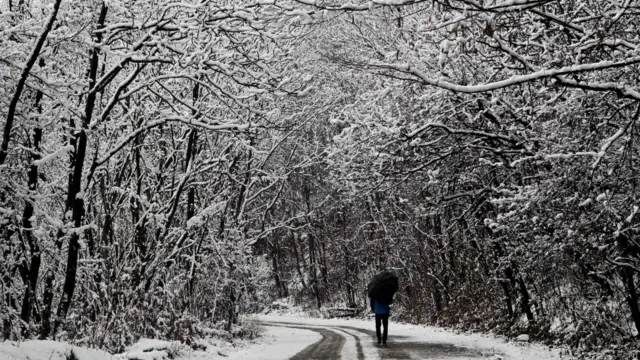 श्रीनगर, हिमपात