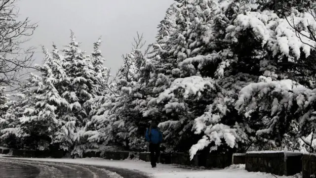 श्रीनगर