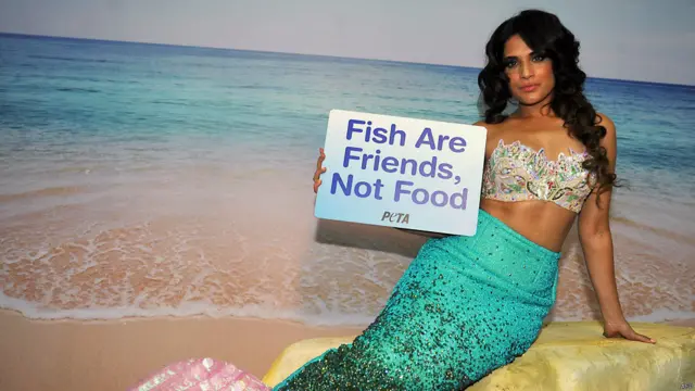 ऋचा चड्ढा