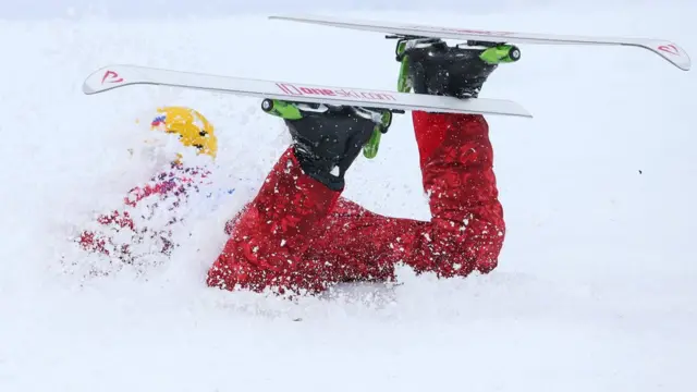 Фристайлист