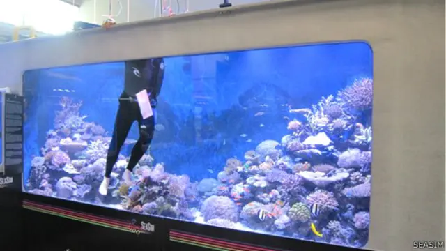 Tanque de estudio marino