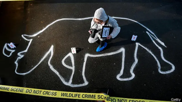 Escena del crimen / cuerno de rinoceronte