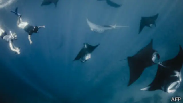 ကမ္ဘာလှည့်ခရီးသည်တွေ သဘောကျတဲ့ ငါးလိပ်ကျောက်ကြီးတွေ