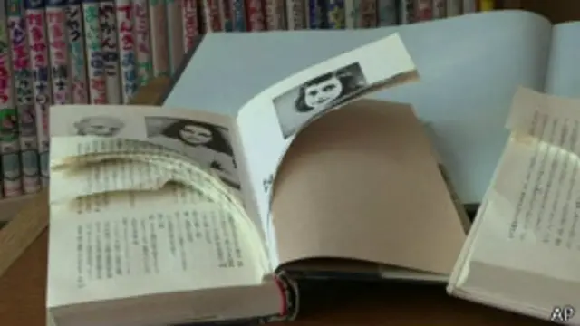 被毁的《安妮的日记》