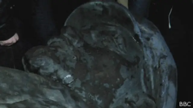 У Чернігові Леніна повалили за дві години