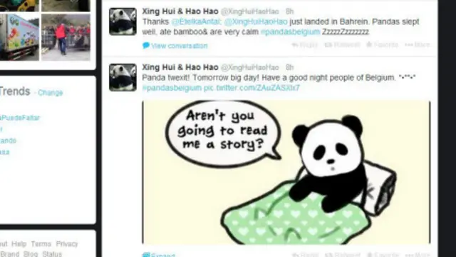 星徽和好好的推特